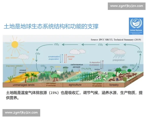 以土地价格变化为核心推动区域经济高质量发展的路径研究分析